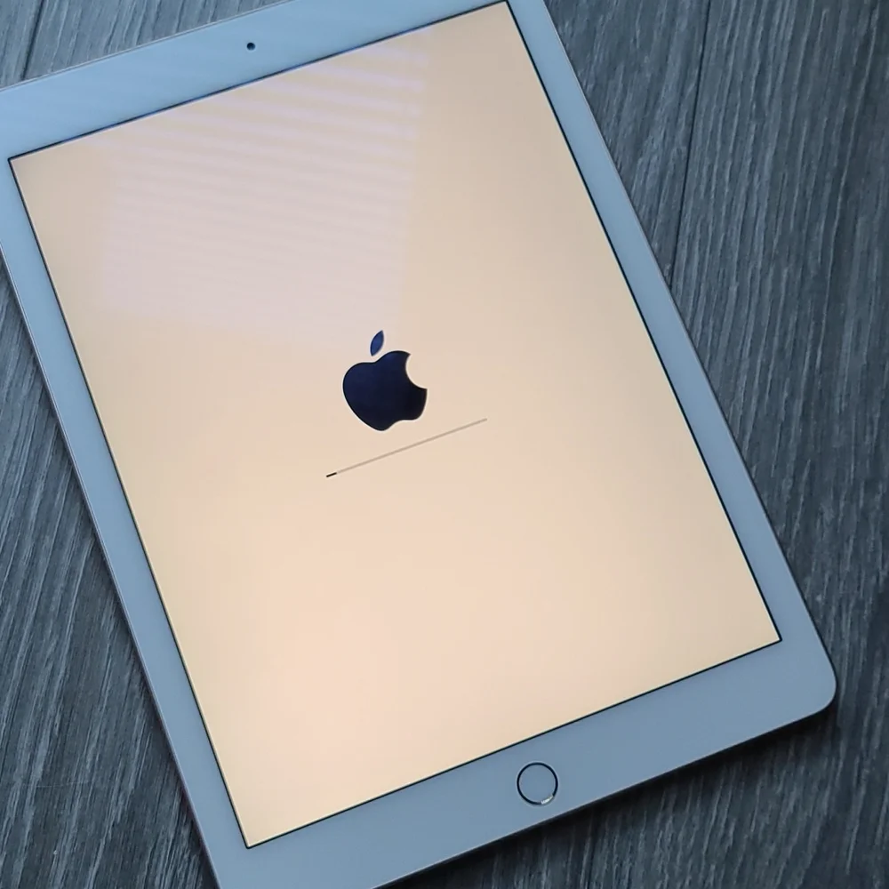 Ipad Air 2 (16 GB)